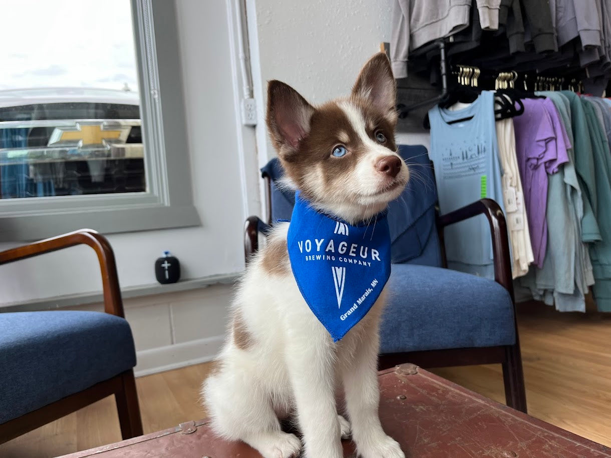 Voyageur Brewing Dog Bandana