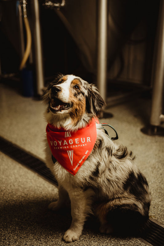 Voyageur Brewing Dog Bandana